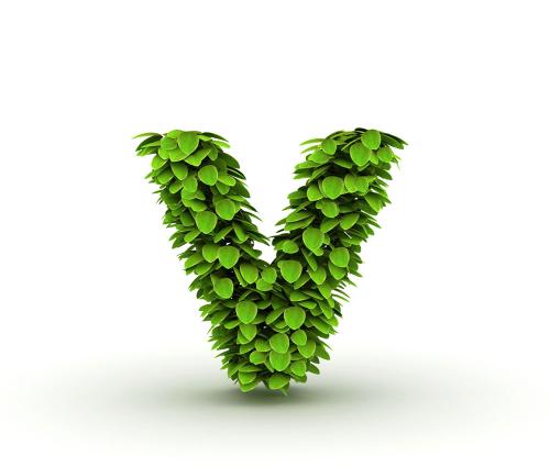 ӡȶس̨ʩϿף ǿ